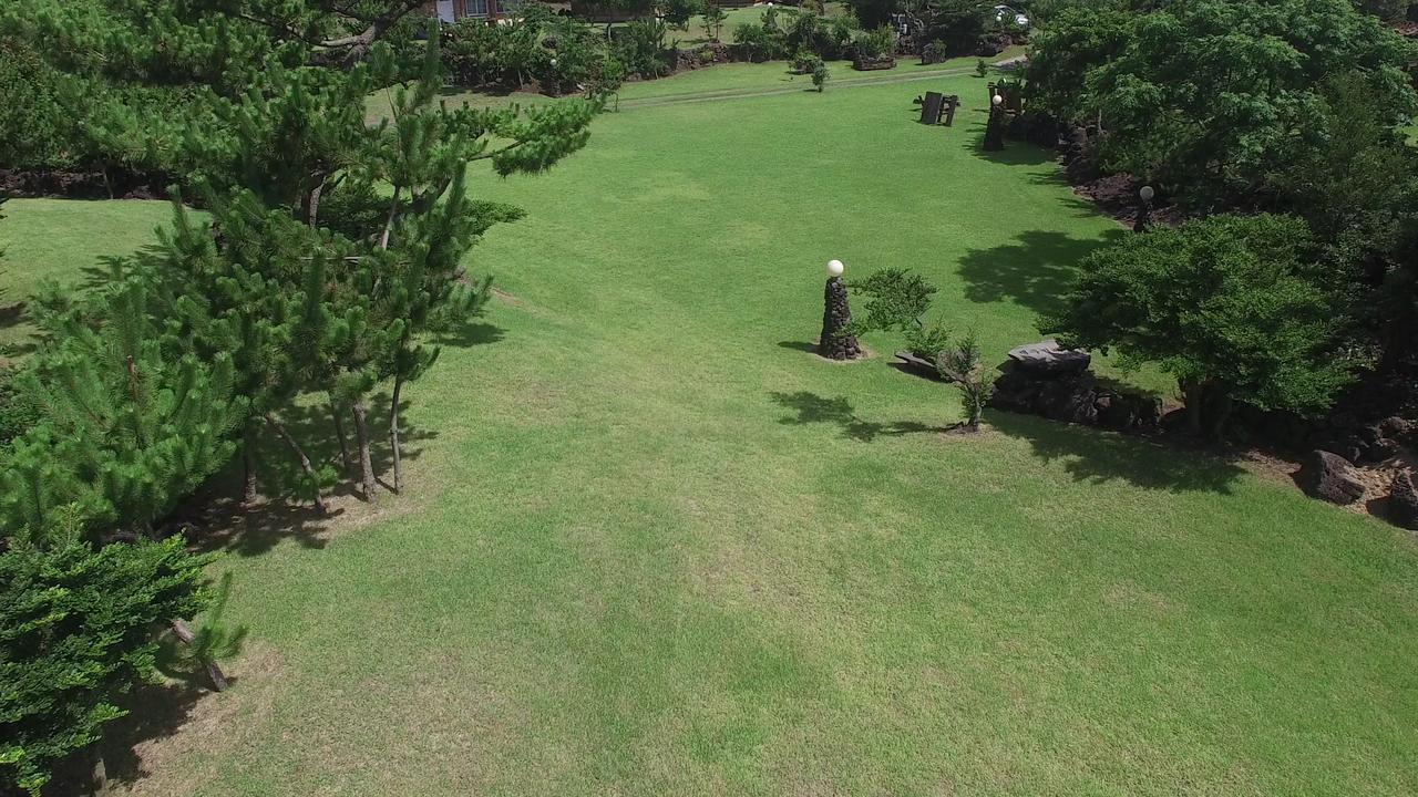 Jeju Bille Log Pension Seogwipo Dış mekan fotoğraf