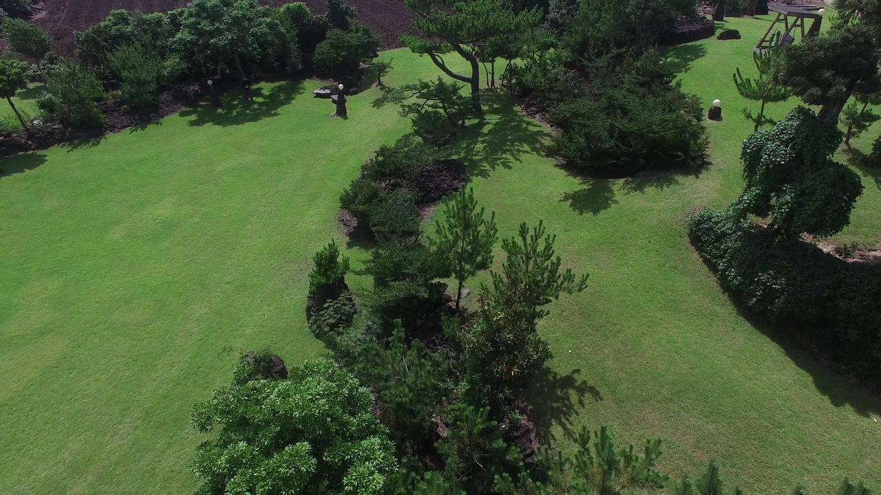 Jeju Bille Log Pension Seogwipo Dış mekan fotoğraf