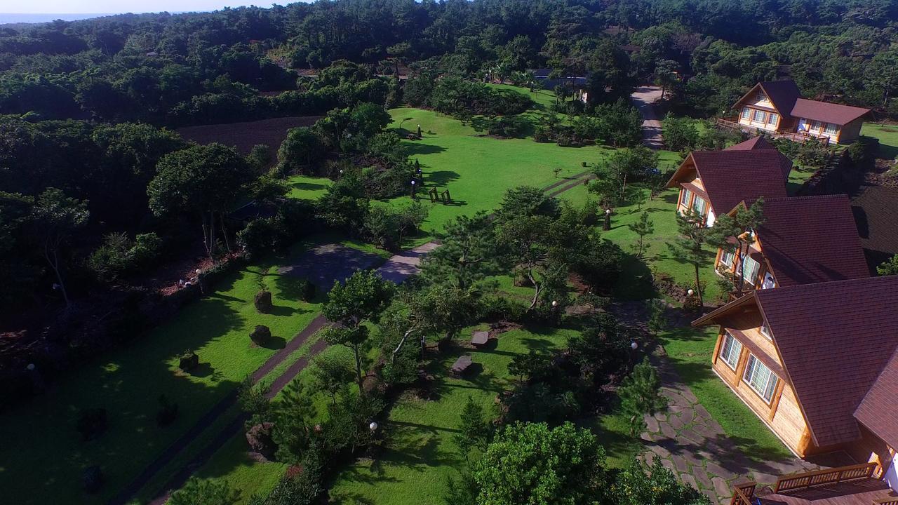 Jeju Bille Log Pension Seogwipo Dış mekan fotoğraf